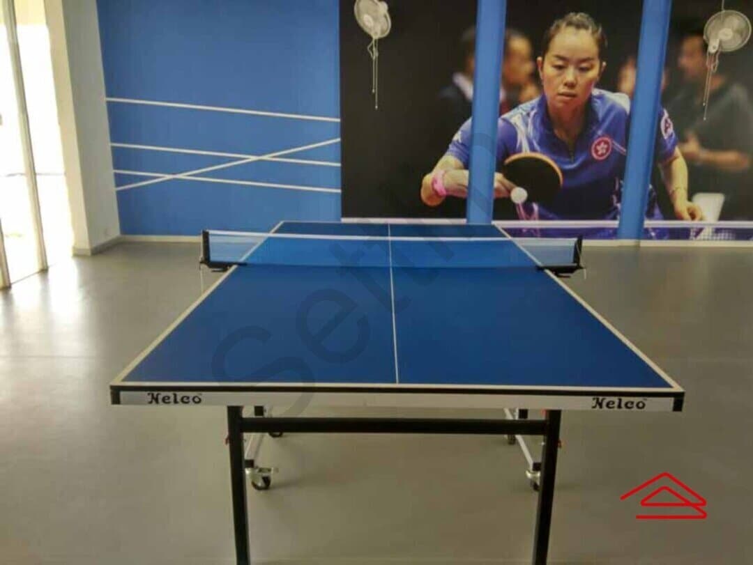 TableTennis