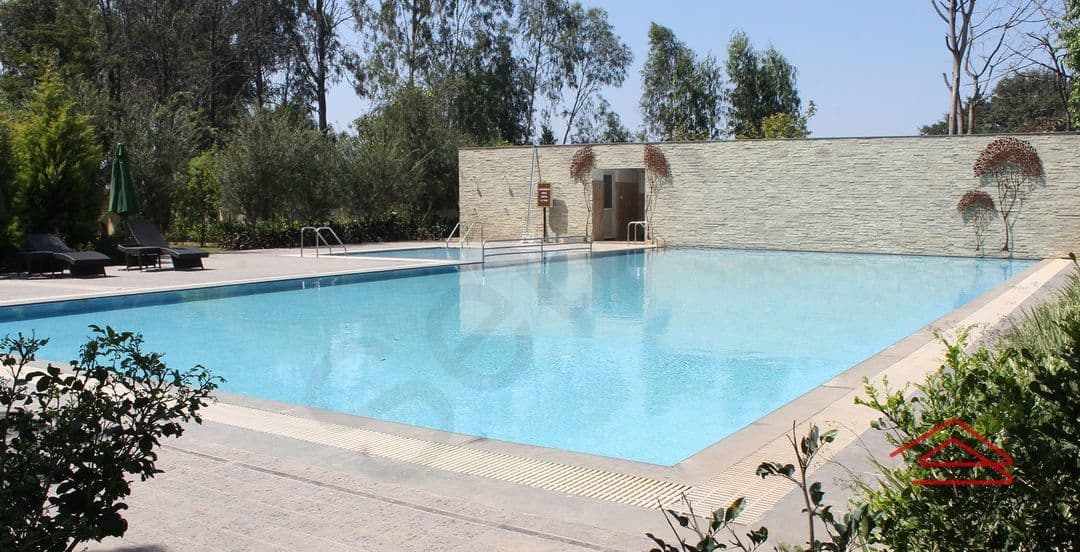 SwimmingPool