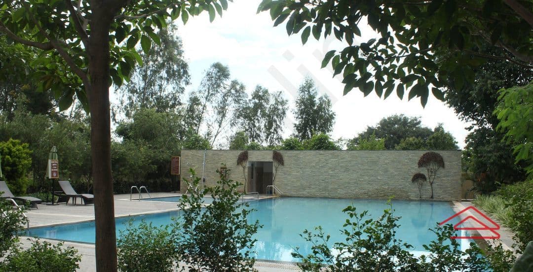 SwimmingPool